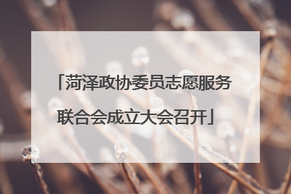 菏泽政协委员志愿服务联合会成立大会召开